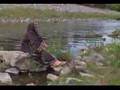 Motherland Afghanistan (Clip)
