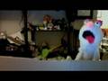 Introducing Snowcone Polar Cub