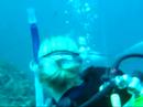 Scuba Diving With Manta Rays