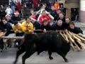 foios