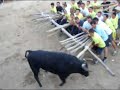 foios
