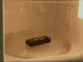 Cellphone vs Microwave