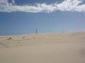 Cabo Polonio Dunes + Beach