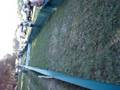 videos de Bruce Almighty Hurdle Racing