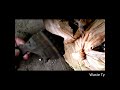 Bioplant Used Tyres to Electricity