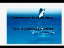 Ecologia e vegetarianismo Ecologia e vegetarianismo