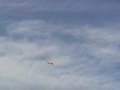 videos de 3DH Extra 300 SHP 47