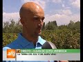 Vivo en Argentina - Mendoza - Luján de Cuyo - Vino espumante - 28-02-13