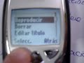 Chiste Ratita