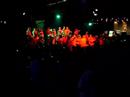 zuruba-samba-reggae-plante-musique-kola-note.html