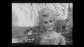 Les Chaussettes Noires - Daniela (1961)