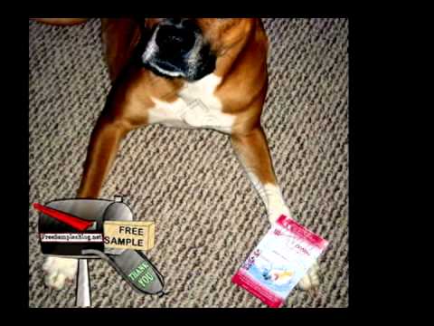 Free Sample Fitmixer Amino Workout Supplement