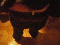 LA DANZA DELLA PANZA
