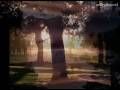 Click here for higher quality sound/picture clarity www.youtube.com OMAR AKRAM - Surrender Album: Free as a Bird - 2004 www.omarakram.com