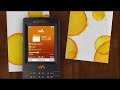 Sony Ericsson w950