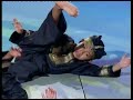 Pencak Silat