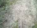 videos de Acampamento Com a Galera