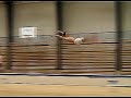 hsg practice triple back with double full twist