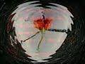 B�hse Onkelz - Der Platz neben mir Part I