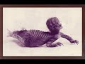 Strange Animals