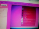 To Webkinzlover485/WebkinzBrownDog485 To Webkinzlover485/WebkinzBrownDog485