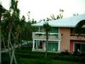 Paradisus De Oro