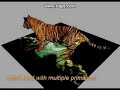 The Tiger Project