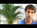 Van Nistelrooij eerste keuze bij Oranje