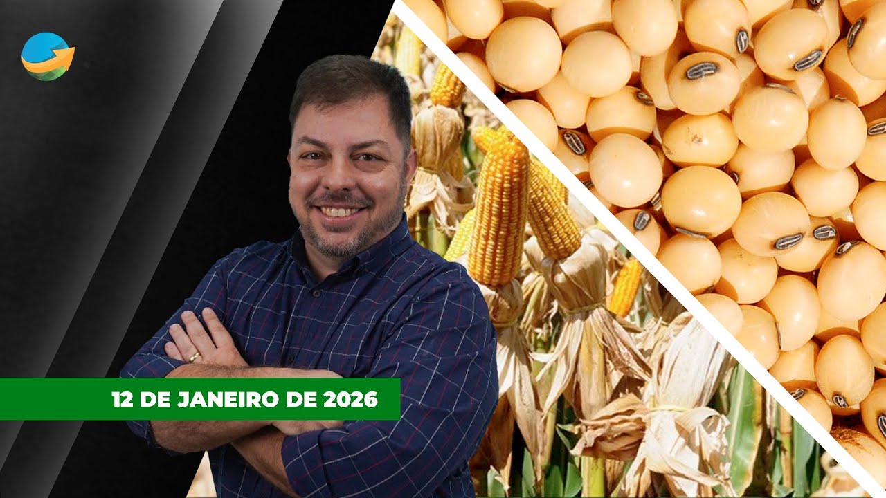 FECHAMENTO DE MERCADO - EDIÇÃO 12/01/2026