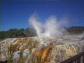 geyser en rotorua geyser en rotorua