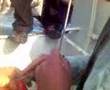 1 Mayıs 2007 Yurtsever Cephe-TKP feribotta çark çekiç yukarı