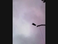Free Fall Bungee at Waliby