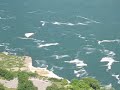 Skylon Tower Niagara (Ride to the Top)