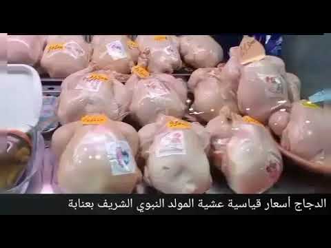 الدجاج أسعار قياسية عشية المولد النبوي الشريف بعنابة