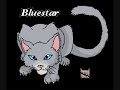 Bluestar tryout for badasi and rosi's warrior animation