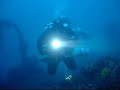 Tauchen am Wrack der Albanien