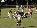 try matias vs cardos 9/8/08 try matias vs cardos 9/8/08