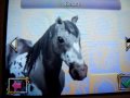 Horse Life Adventures review