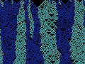 Cellular Automata 0