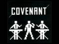 covenant - we stand alone