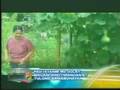 videos de Pinoy Green Revolution in Austria