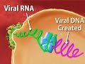 Treating HIV (HIV #4)