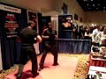 A tripple kick from the famous Action Michael Jai White