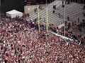 Cats Kill Ducks U of Arizona Fans Rush Field Climb Goalpost