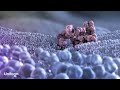 Autodesk Show Reel 2010 