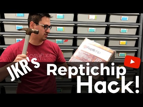 YouTube reptile video