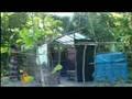 Bangladesh cyclone survivors still in need - 17 Nov 08