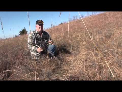 how to provide deer bedding areas