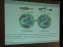 Ocean Food Webs - Ecosystem-Based Management Ocean Food Webs - Ecosystem-Based Management