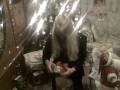 VID00032 VID00032
